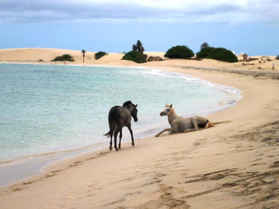Vilas Praia De Chaves - Sol Y Mar Standart Rabil Buitenkant foto